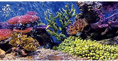 Невероятно Винил Фон За Декор на Аквариум Тропически Риби и Коралови Подводен Фон за Аквариум 36x20 инча