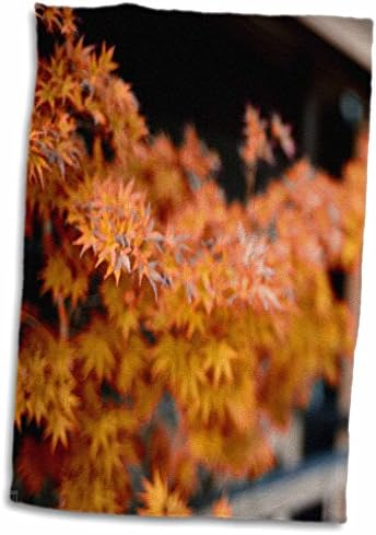 3. Японската колекция от хавлии KIKE CALVO - Оригинално растение в Сиракаве-minami-dori - Towels (twl-216106-3)