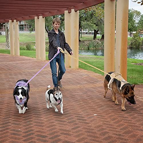 Лека шлейка за кучета без напрежение: Регулируема здрава дишаща мрежа шлейка за домашни любимци с мека и удобна възглавница, за малки кучета е среден (Люляк, L)