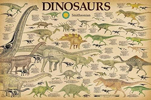 Студио B Ламиниран информационен плакат Смитсониън институт на динозаврите 36 x 24 инча