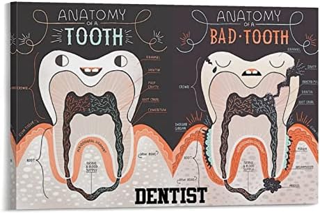 Плакат стоматологична анатомията на Зъболекар, стенно изкуство, зъбни Снимки, за Украса на Офис, Болница, Платно, Стена Артистични Щампи за Декор на стени, Декорация на Помещението, Интериор на спални, Подаръци 24x36