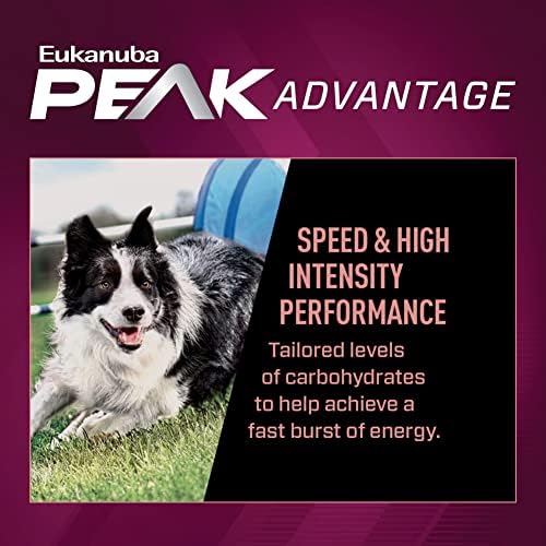 Суха храна за кучета Eukanuba Premium Performance 21/13 Sprint за възрастни, 4,5 килограма в опаковка