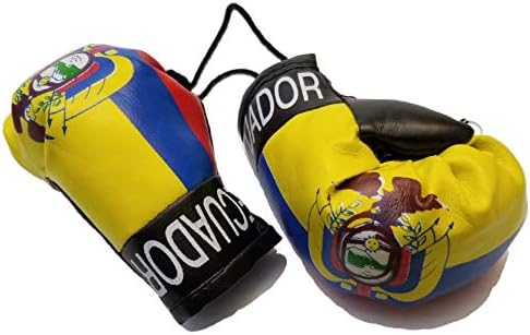 БАНФАЙРс Мини Банер С Флага на Еквадор Боксови Ръкавици Висят Над Огледалото за обратно виждане Банер С Флага на Еквадорска на Страната