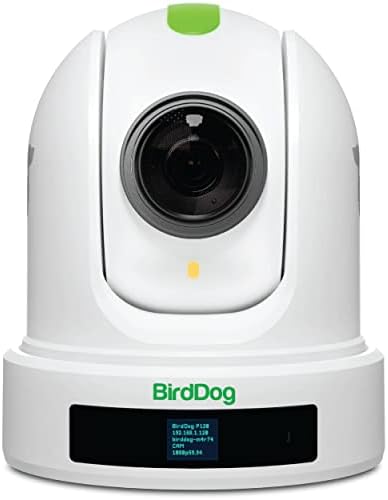PTZ камера BirdDog Eyes P110 1080p Full NDI (Бяла) BDP110W