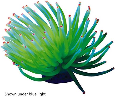 Украса от анемонов GloFish, Детализированное Аквариумное украса, Голямо зелено, Създава ефект на светене (1 КУТИЯ от 6 отделни бижута)