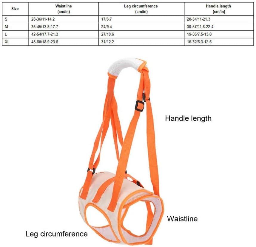 FLOYINM Колани За краката на Домашни Любимци Прогулочный Скоба Мрежа За Повдигане на Домашни Кучета на Каишка За Подкрепа на Задната част на Крака Помощ при Повдигане и за Възрастните Хора с Увреждания